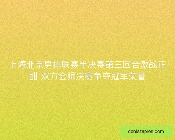 上海北京男排联赛半决赛第三回合激战正酣 双方会师决赛争夺冠军荣誉