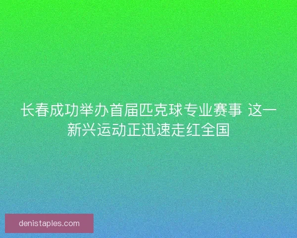 长春成功举办首届匹克球专业赛事 这一新兴运动正迅速走红全国